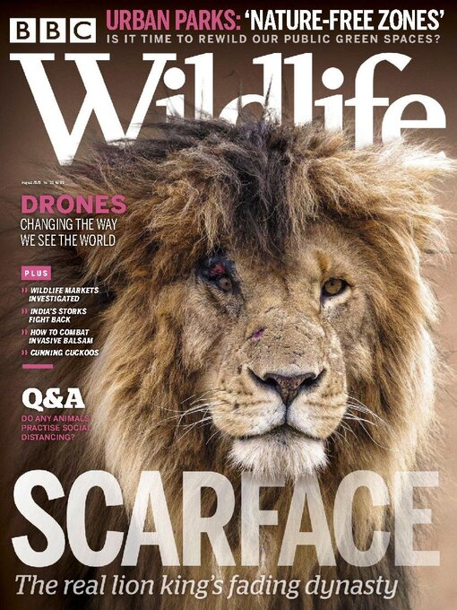 Cover image for BBC Wildlife Magazine